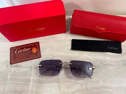 Lentes Cartier - 1526 Gris plata