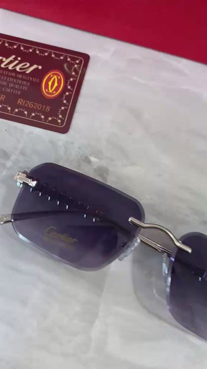 Lentes Cartier - 1526 Gris plata